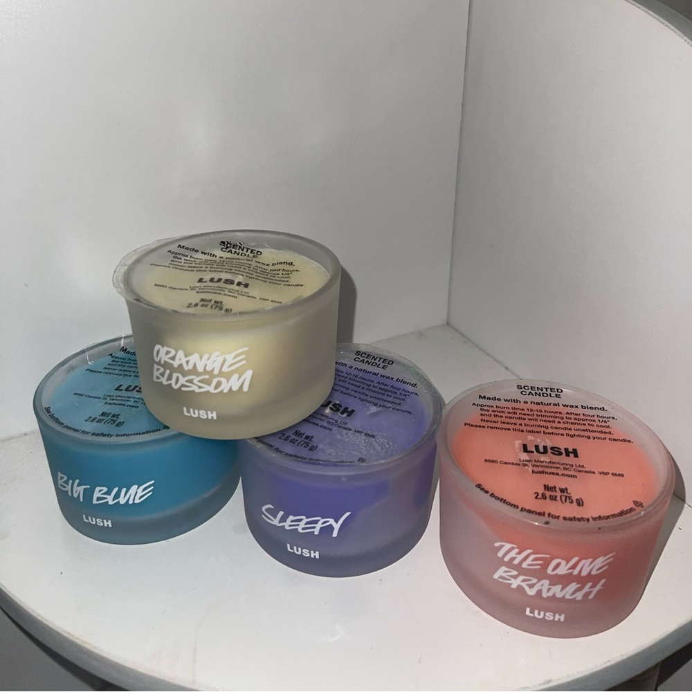 4 lush single wick candles